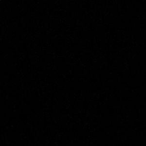 Meet your Posher, Troy